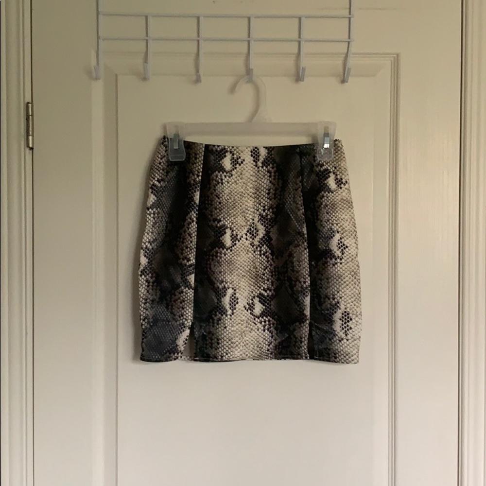 Short Snakeskin Skirt